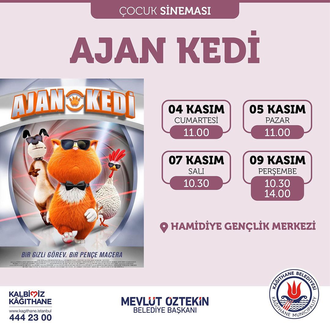 Kağıthane Belediyesi - Ajan Kedi