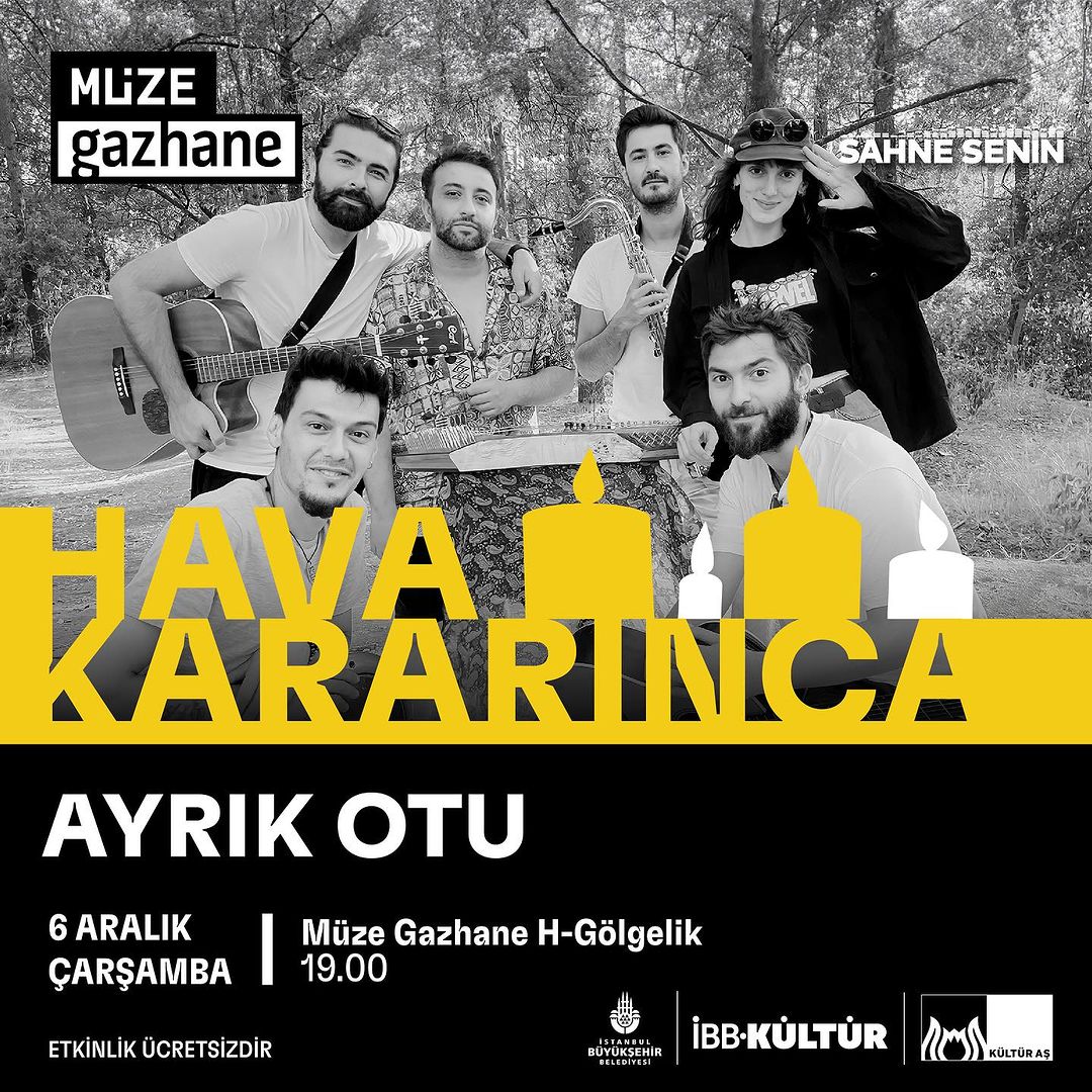 Kültür İstanbul - Ayrık Otu