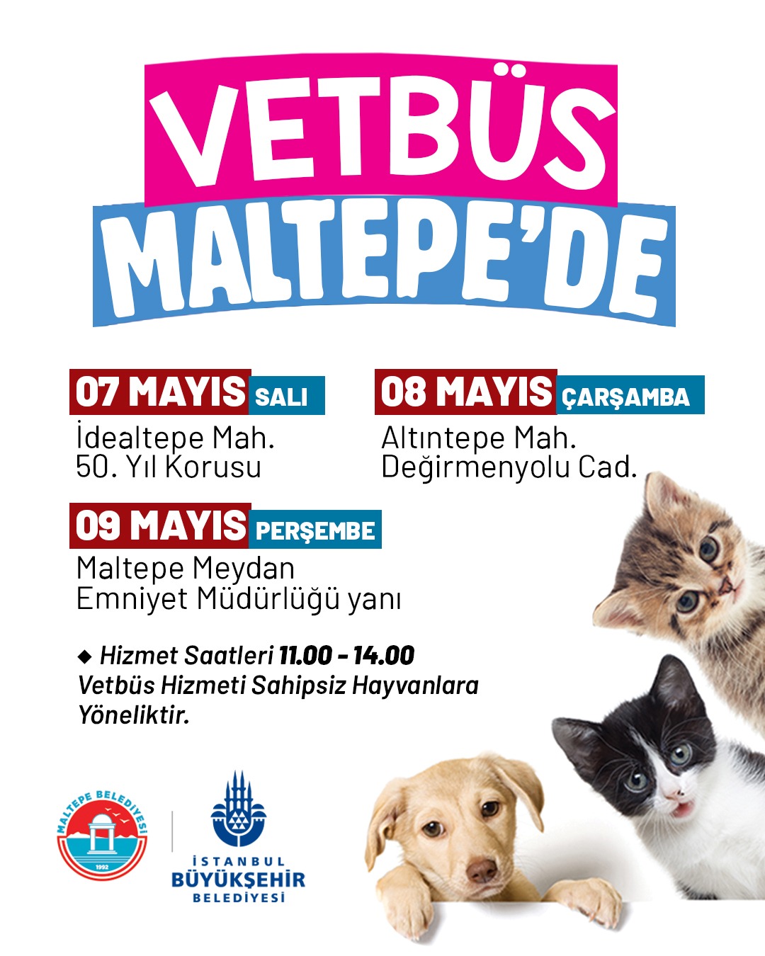 Maltepe Belediyesi - Vetbüs Aracı