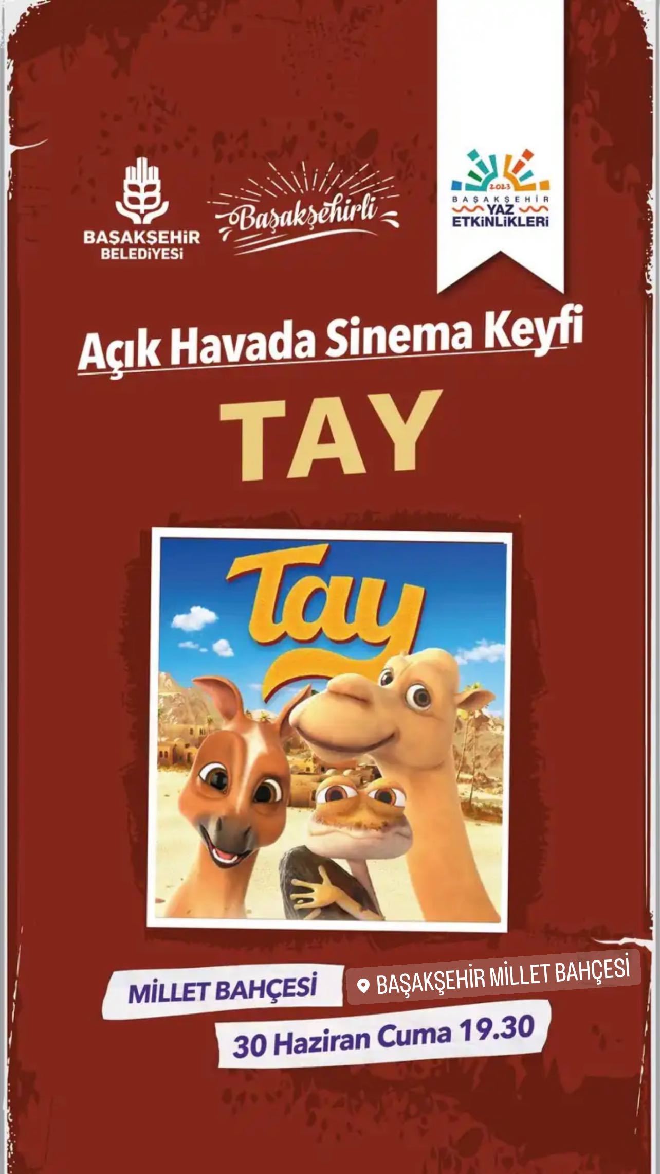Ba?ak?ehir Belediyesi - A�?k Hava Sinemas?, Tay