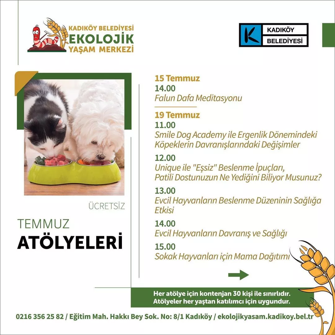 Kadıköy Belediyesi - Ekolojik Yaşam Merkezi, Temmuz Atölyeleri